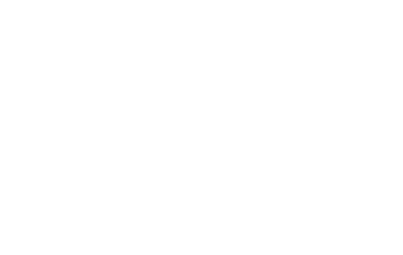 Team Secret Logo